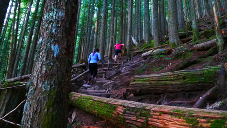 una pareja de excursionistas caminando en el bosque.