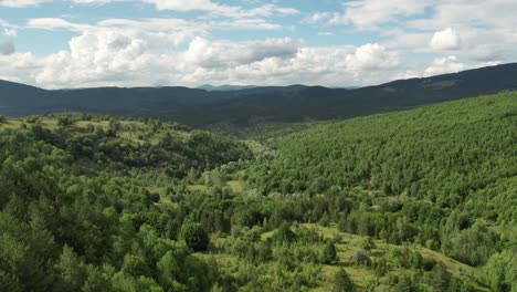 vasto bosque aéreo, vista de áreas nubladas y montañosas desde la altura, vista de drones del paisaje natural, vista de drones del paisaje natural