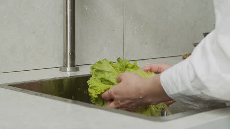 primer plano de manos de mujer lavando lechuga en un fregadero de cocina moderno