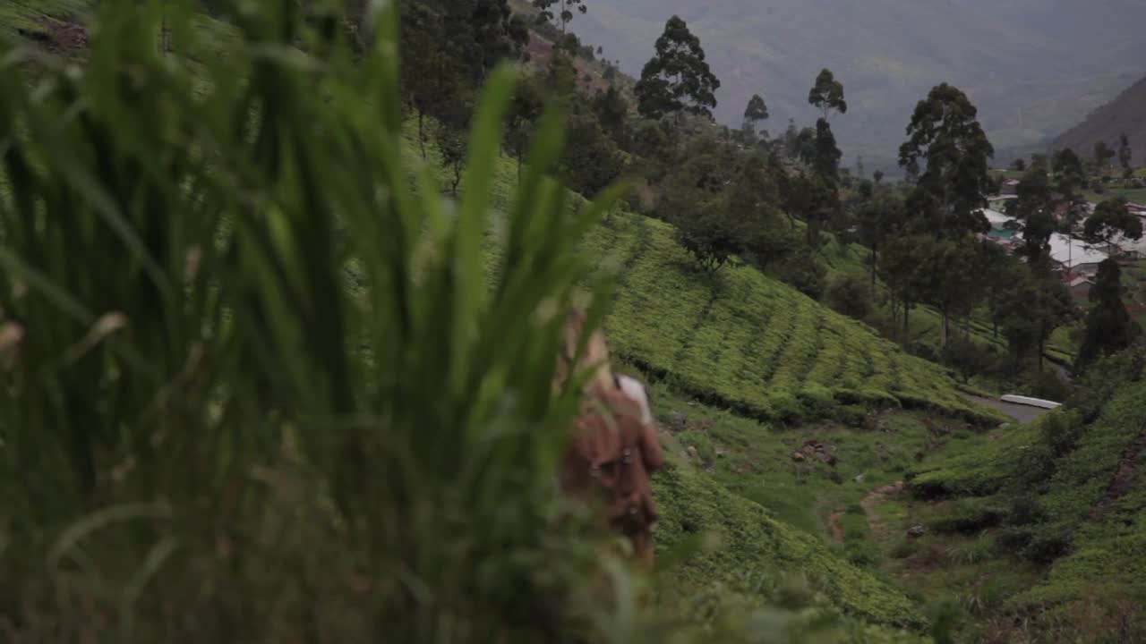Reizende vrouw in een vallei met exotische plantages