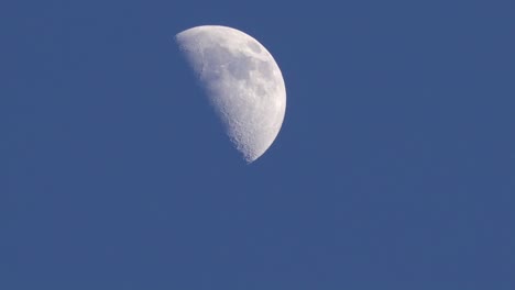 primer plano diurno de la luna creciente