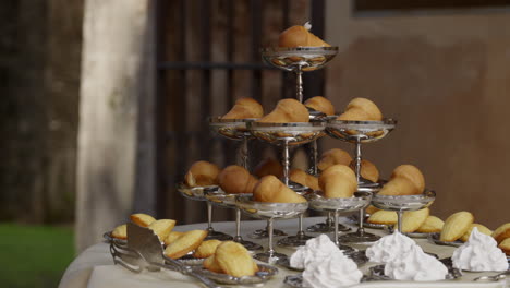 elegant dessert display with pastries and biscuits