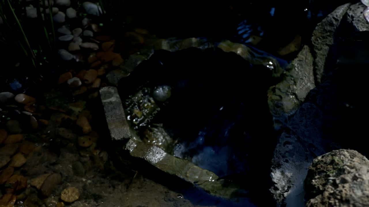 mirando el agua en la fuente