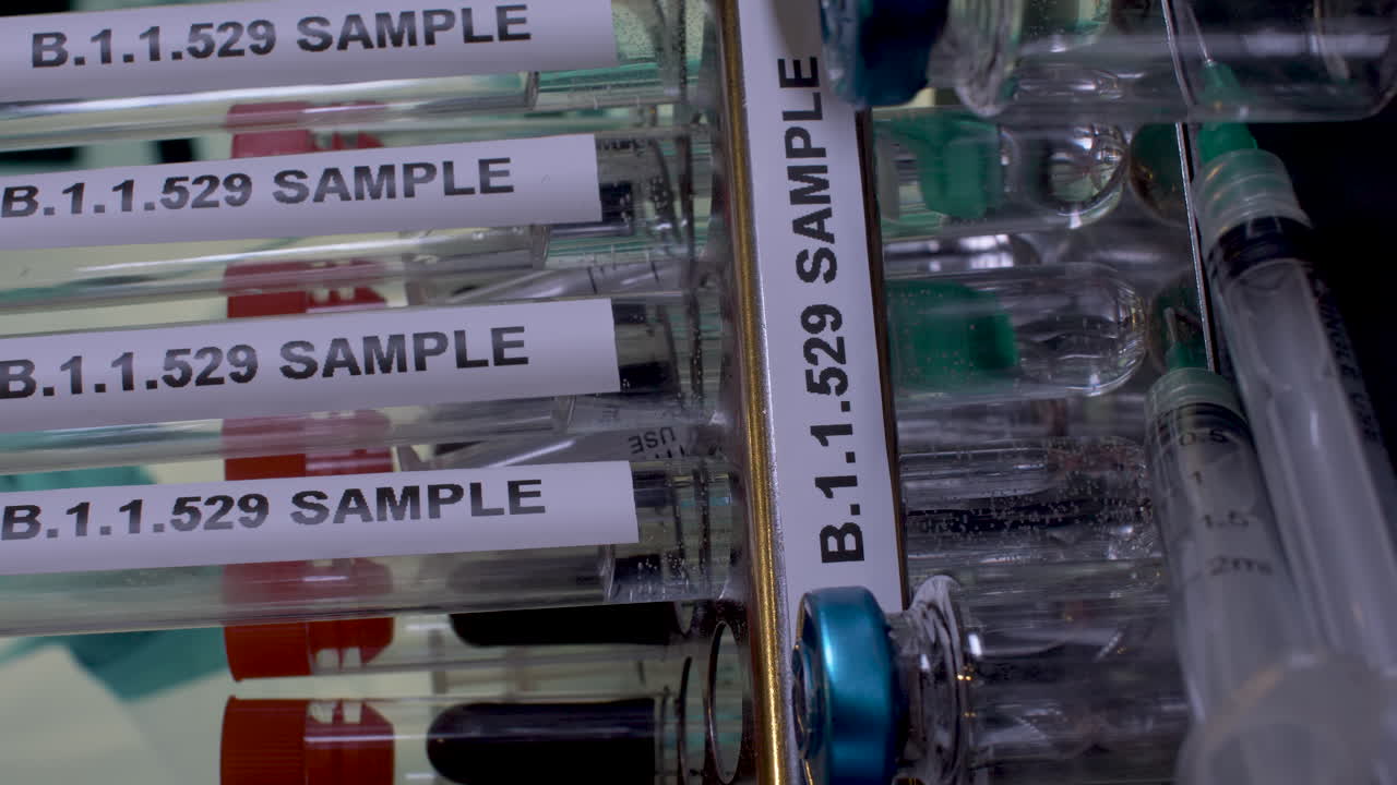 B.1.1.529 Sample Test Tube Samples Being Placed Into Rack. Close Up, Vertical Video