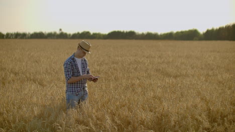 Joven-Agricultor-Sosteniendo-Tableta-En-Campo-De-Trigo