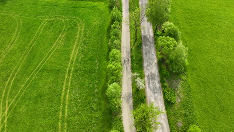 vista aérea de una carretera rural con dos ciclistas montando a lo largo de ella, rodeados de exuberantes campos verdes y árboles