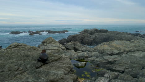 new zealand fur seal climbing up the rocky sea shore on kaikoura coast