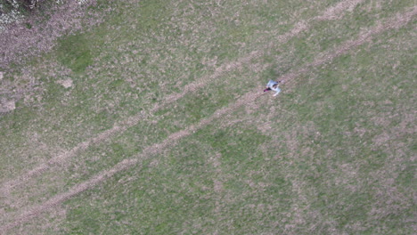 female model training run in park. outdoor cardio health and fitness training. fitness drone shot in woods.