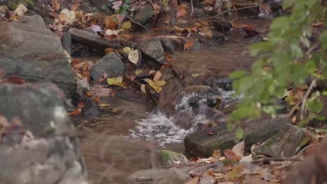 Agua-Que-Fluye-A-Través-De-Rocas-Y-Hojas-De-Otoño-En-Wissahickon