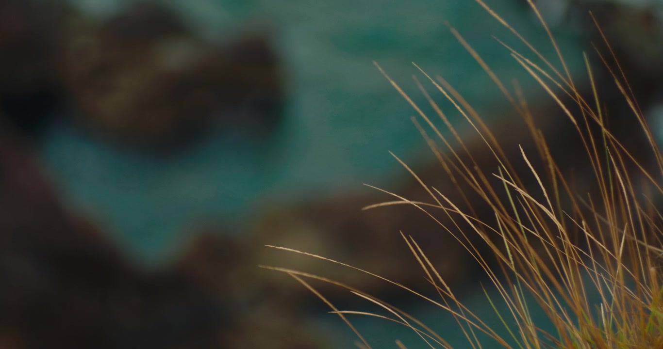 Vue aérienne en plongée de piscines naturelles rocheuses et de formations côtières accidentées balayées par les vagues de l'océan. Environnement pittoresque de la zone intertidale.