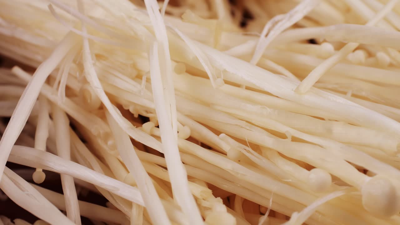 Close-up of Dried Sea Tangle