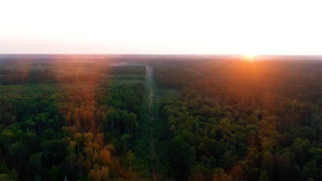 sunrise/sunset over a forest path - aerial view