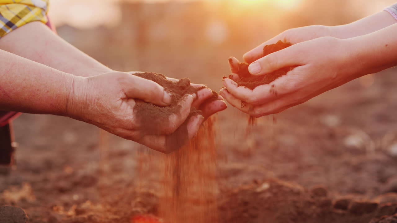 dos granjeros sostienen puñados de tierra del concepto de agricultura orgánica de campo
