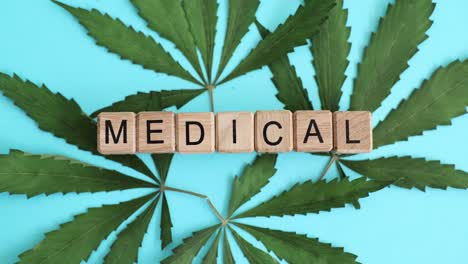 medical cannabis leaves and blocks