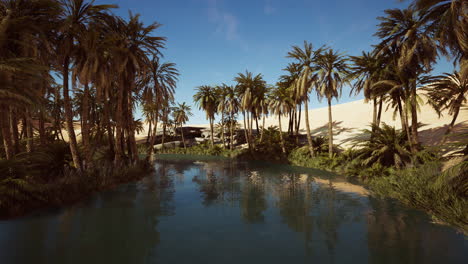 las palmeras florecen alrededor de una piscina de agua en un parque en el desierto de palmeras