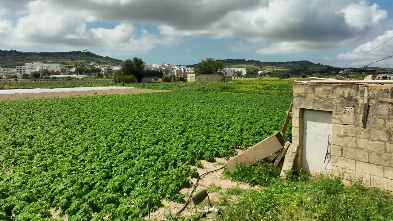 Drone flies low over vibrant green crops and a rustic stone shed in Malta, with distant villages and rolling hills under a dramatic sky, showcasing the island’s rural agricultural charm.