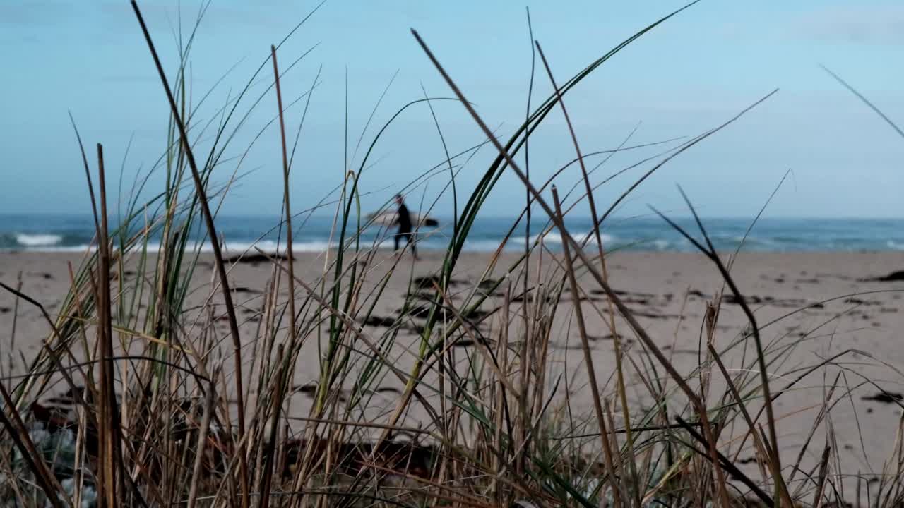 서퍼가 해변을 산책하다