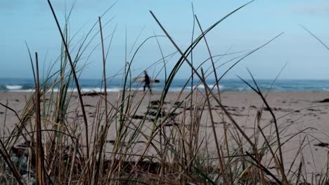 surfer walks on the beach