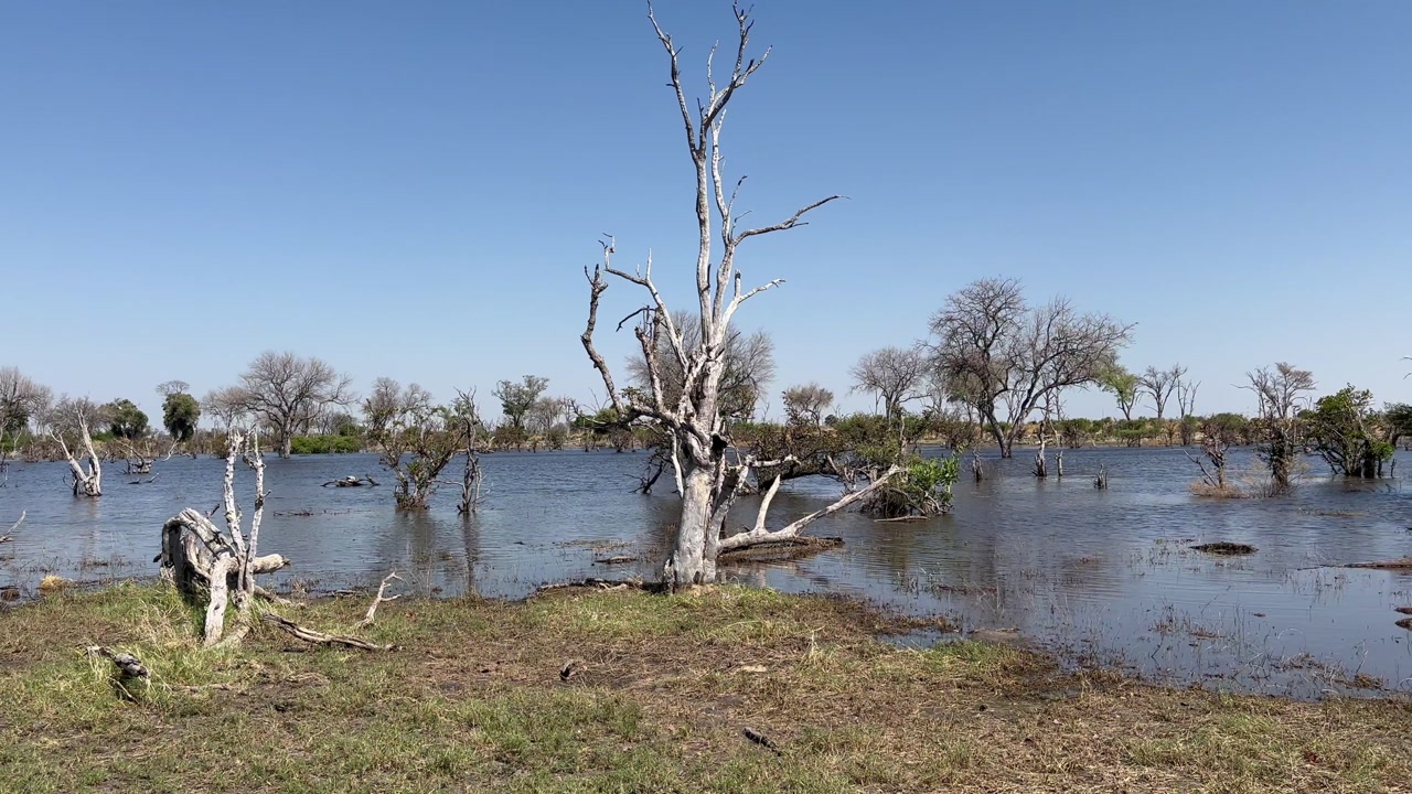 Okavango Delta Pan right view, Botswana.