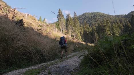 tiro trasero ángulo bajo de excursionista con bastones de senderismo caminando por un sendero pedregoso hasta el borde de la montaña en italia durante el día soleado