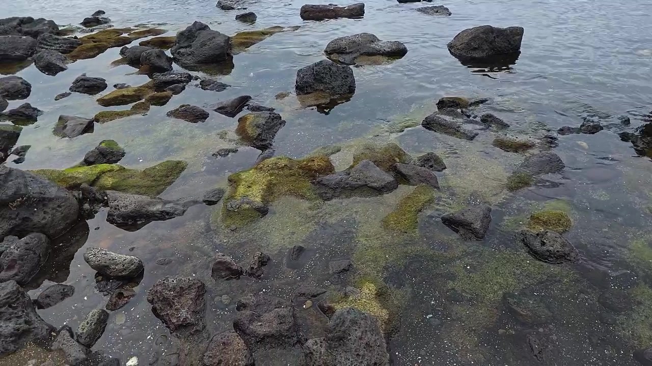 Nærbillede med panorering, der afslører grønne og sorte vulkanske sten med farverige mineralsten i et klart, lavvandet tidevandsbassin ved Sagye Strand på Jeju, Sydkorea