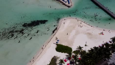 drone bird's eye view over the people walking