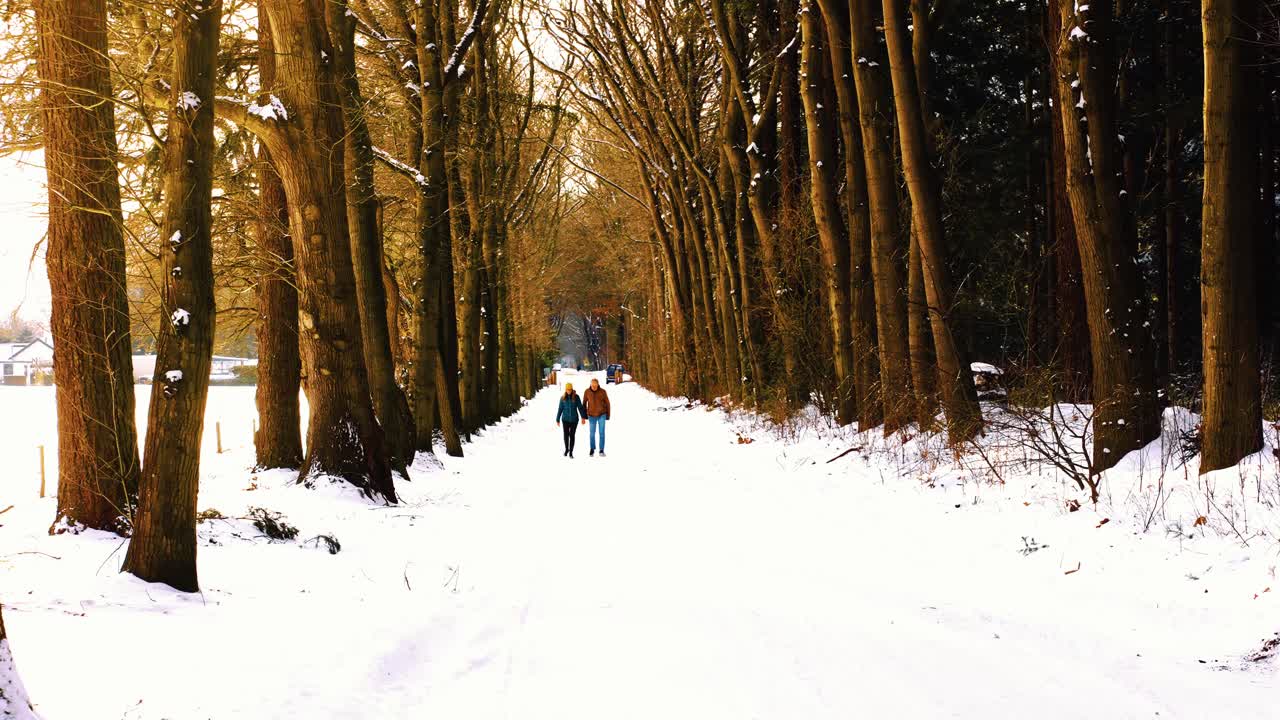 pareja caminando por senderos nevados a través de altos árboles forestales en invierno