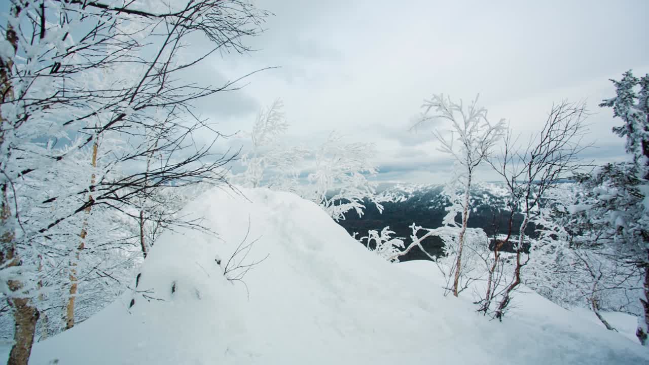 눈 인 산꼭대기