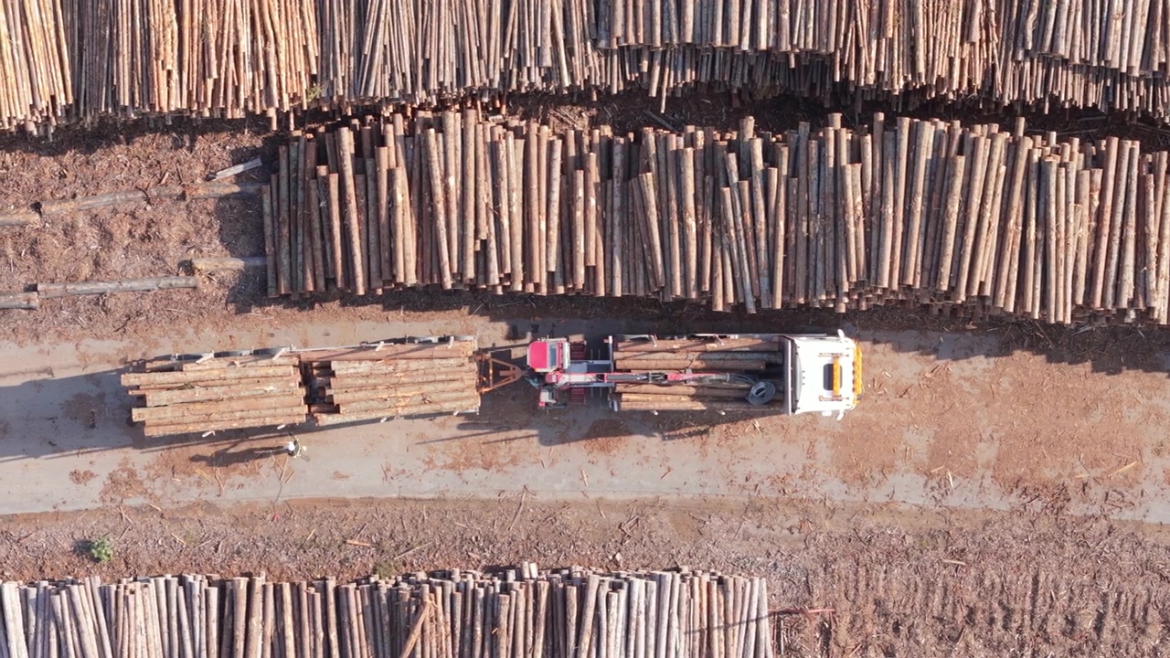 Truck loaded with tree logs among woodpiles in timber yard, top-down aerial