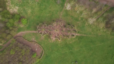 4K-willow-cathedral-live-sculpture-made-of-willow-trees-in-Taunton-Somerset,-60fps-drone-moving-upwards-over-the-tree-cathedral