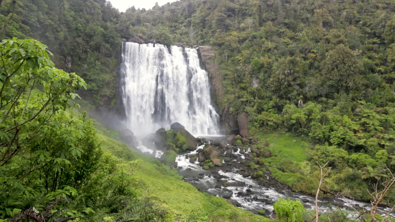 cascada en medio de un bosque verde en nueva zelanda con hojas ventosas sin gente
