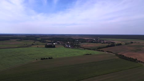 Sommertag-Im-Ländlichen-Raum,-Grünes-Maisfeld,-Wald