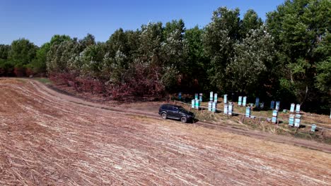 Car-drive-by-beehive-apiary