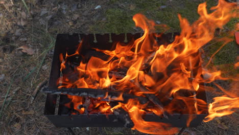 campfire in a metal grill