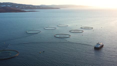 Imágenes-Aéreas-De-Una-Granja-De-Pesca-De-Salmón-En-Noruega