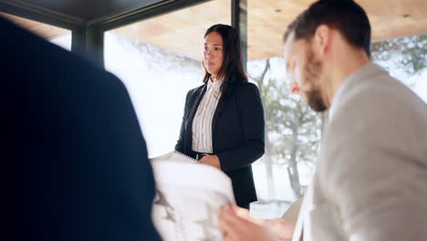 Proposal,-meeting-and-woman-with-business-people