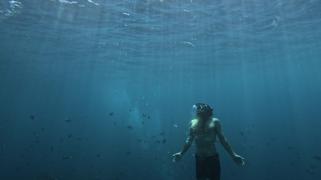 un buzo libre que asciende hacia la superficie, rodeado por un banco de peces cerca del naufragio usat liberty en tulamben, bali