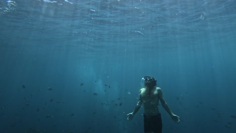 Freediver-ascending-towards-the-surface,-surrounded-by-a-shoal-of-fish-near-the-USAT-Liberty-Shipwreck-in-Tulamben,-Bali