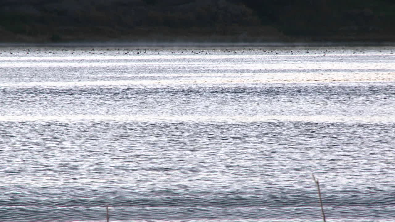 오크 뷰 캘리포니아에 있는 카시타스 호수에서 일출 때 더블 스컬을 노를 젓는 두 사람