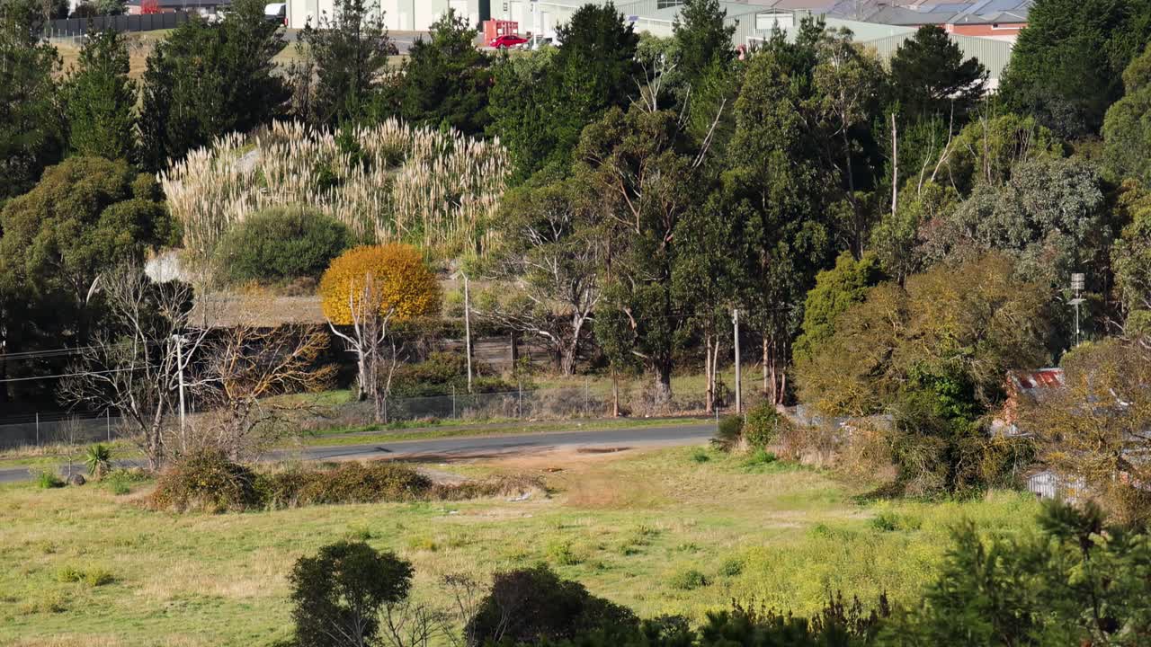 A view of Ballarat's suburban area with dense greenery and residential buildings.