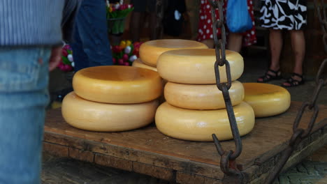 pile of gouda cheeses on old wooden weighing scale inside de goudse waag in gouda, netherlands