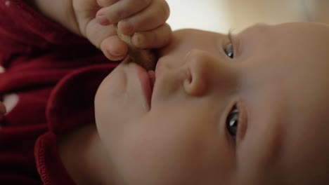 lovely child eating baby biscuits