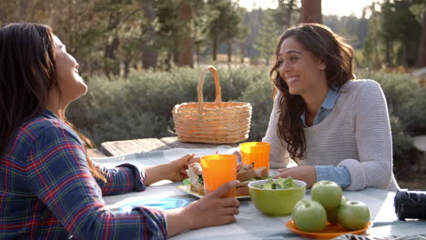 female couple talk holding hands across a picnic table