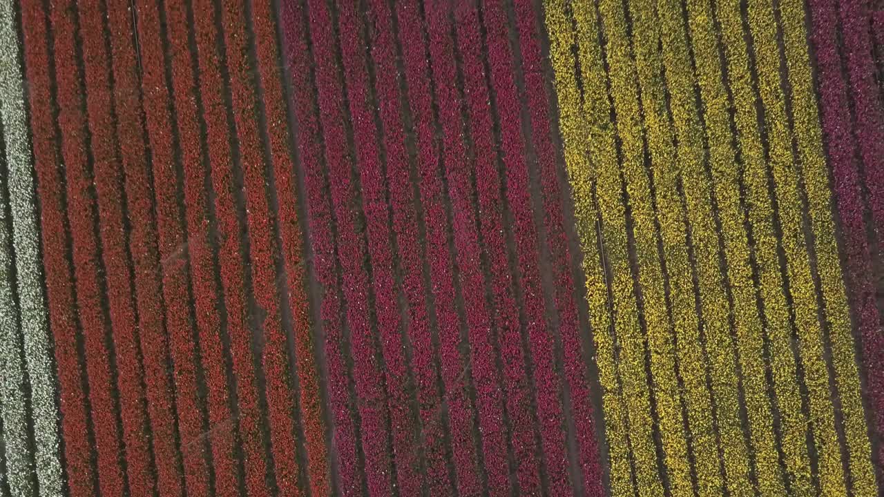 위에서 활기찬 립