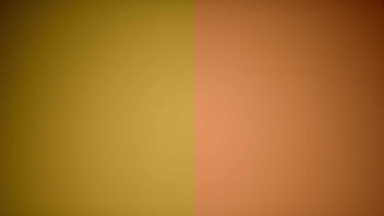 Fresh Grapefruit Slices Tossed Up Flying Hanging In The Air And Falling Down