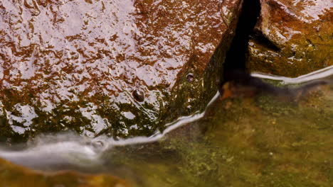 Zeitraffer-Und-Langzeitbelichtung-An-Einem-Süßwasserteich