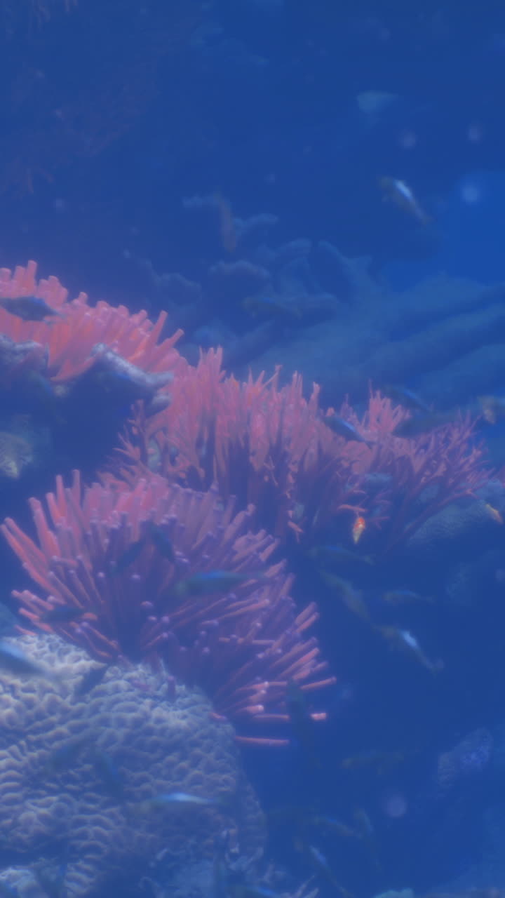 Vivace ambiente oceanico caratterizzato da diverse creature marine e strutture coralline