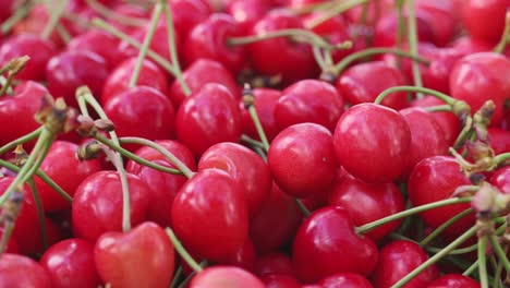 cerezas rojas frescas y jugosas. cerezas maduras recién recogidas. comida vegetariana saludable.