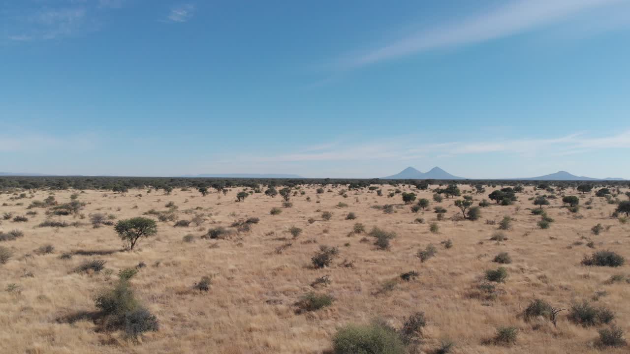 imágenes de video aéreas de drones de alta altitud de la impresionante formación rocosa vingerklip, namibia, áfrica. monumento de piedra alta en el desierto africano. valle de monumentos se parecen. vasto interior de namibia.