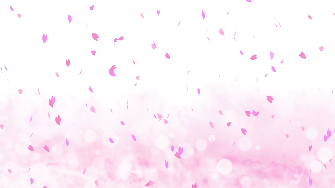 화려한 잎자루가 봄의 배경에 휘어지고, 빛으로 빛나는 아름다운 자연 장면, 꽃의 잎자락, 추상적인 봄 그래픽, 루프 애니메이션.